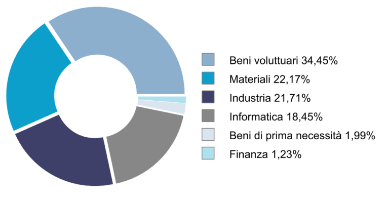 ETF ELCR - allocazione settoriale